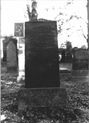 Grabstein 442 (Index: 100111731) Material: Granit Zustand: gut Maße HxBxT: 150x51x19 cm Beschreibung: Obelisk, Sockel Symbolik: Palmzweig mit Blumengirlande: Grabstein 442