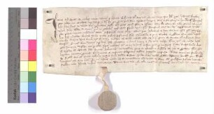 Das Geistliche Gericht in Speyer vidimiert das Mandat Papst Bonifaz VIII. von 1299 März 21, in dem er den Scholaster des Allerheiligenstifts in Speyer beauftragt, dem Kloster Maulbronn zur Wiedererlangung entfremdeter Güter behilflich zu sein.