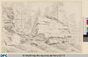 Felsblöcke im Nadelwald