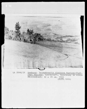 Zeichnung in einem Skizzenbuch: Waldlandschaft