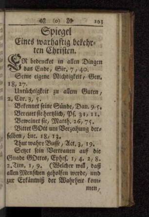 Spiegel Eines warhaftig bekehrten Christen.