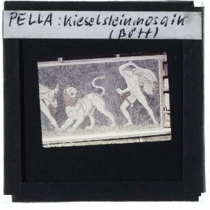 Pella, unbekanntes Mosaik