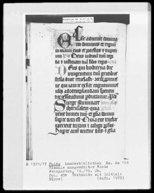 Missale ausgewählter Feste — Initiale E(cce), Folio 49verso