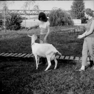Frankfurt (Main). Motel (?). Zwei junge Frauen mit Ziege, wohl in einem Garten am Mainufer