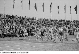 Start eines Laufwettkampfs im Bruno-Plache-Stadion