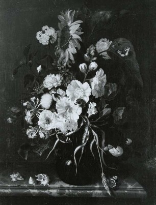 Blumen und Muscheln