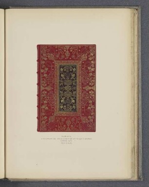 Plate LVIII.