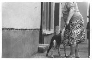 Frau mit einem Hund vor einem Haus (Altersgruppe 18-21)