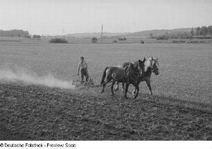 Bauer mit Pferdegespann beim Pflügen eines Feldes
