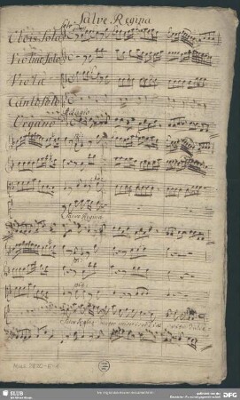 Salve Regina