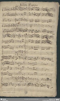 Salve Regina