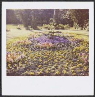 Buntes Blumenbeet