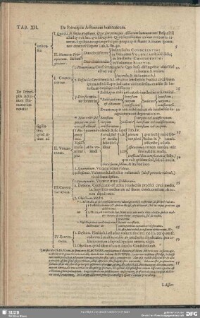 Tab. XII. De Principiis Actionum humanarum
