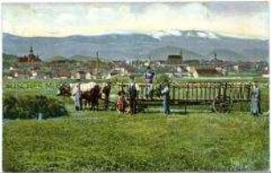 Heuernte im Riesengebirge