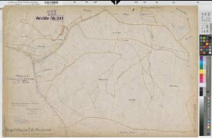 Langenholthausen (Balve), Blintrop (Neuenrade), Umlegung Langenholthausen-Blintrup, Bl.5 Urkarte II, Langenholthausen Flur 5