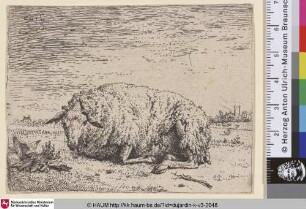[The Resting Sheep; Recumbent Sheep; Le mouton couche; Rastendes Schaf]