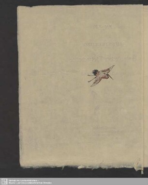 Text mit Illustrationen