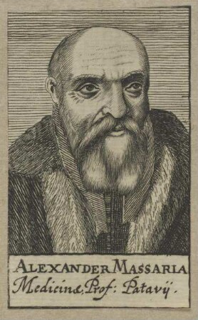 Bildnis des Alexander Massaria