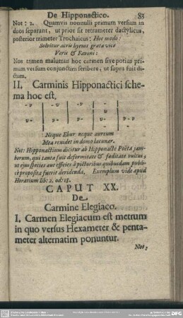 Caput XX. De Carmine Elegiaco