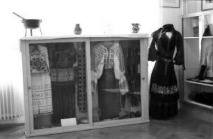 Freiburg: Rumänisches Institut; Vitrine mit Kostümen