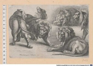 P. Paulus Rubens pinxit, W Hollar fecit, 1646.