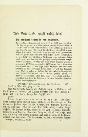 Lieb Vaterland, magst ruhig sein!