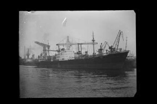 Baldur (1952), Frachtschiff, Seereederei "Frigga" AG, Hamburg, Bau-Nr. 247