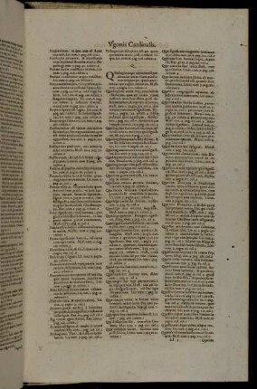 Index Verborum, Ac Rerum Omnium Præcipuarum [...] Q. - S.