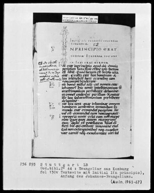 Evangeliar aus Komburg — Initiale I(n principio), Folio 130verso