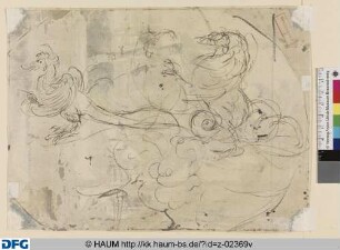 Studie von Hähnen