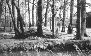 Quitzdorf am See. Gegend beim Raubschloss, 1959, Repro