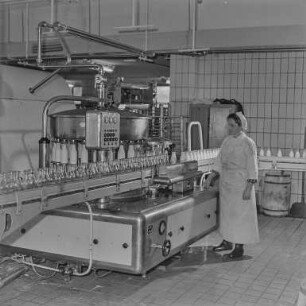 Bautzen Molkerei : Bautzen. Molkerei. Produktion