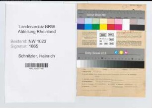 Entnazifizierung Heinrich Schnitzler , geb. 31.03.1901 (Regierungsrat)
