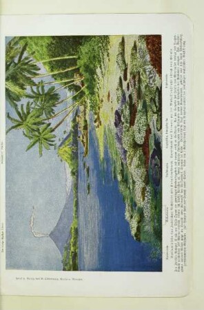 Vulkaninseln des Indischen Archipels mit Korallenstrand. Landschaft bei Ternate an der Molukkenstraße östlich von Gilolo
