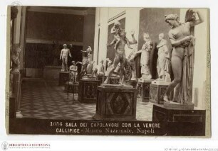 Museo Archeologico Nazionale, Sala dei Capolavori