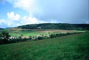 Ortsansicht vom Burkhartsberg Richtung Dorntal; Randbereich wird von ICE-Trasse tangiert werden