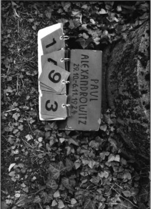 Grabstein 1493 [Hahn S. 235 Grab-Nr. 2209]