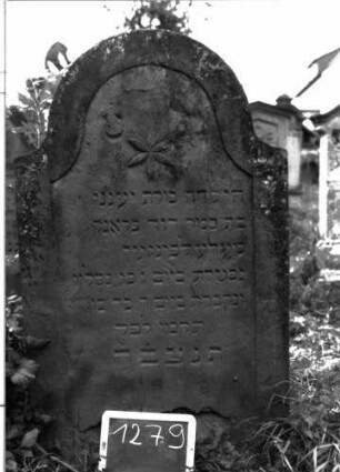 Grabstein 1279 (Index: 100104521) Material: Sandstein Zustand: angewittert, Abplatzungen Maße HxBxT: 121x70x10 cm Beschreibung: Stele mit Konvexbogenabschluss, Schriftfeld eingetieft, im Bogenfeld Blüte Symbolik: Blüte Besonderheit: Kind: Grabstein 1279