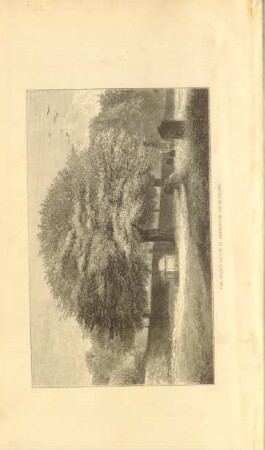 The Raja's grave in Sheepstor churchyard