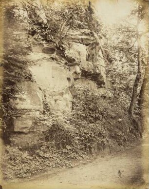 Mittelgrundstudie: Felsen und Terrain: Felsblock mit Baumschlag