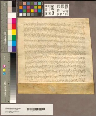 [Betr. Gut Steingraven, in den propsteilichen Oberhof Nünning eingehörig; früher Hermann, jetzt Pröpstin Elisabeth von Saffenberg]