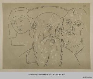 Köpfe dreier Personen (nach Peruginos Kreuzabnahme in der Servitenkirche in Città delle Pieve)