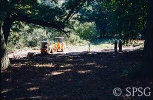 Potsdam, Park Sacrow, Auskofferung in der Thusnelda-Senke (ABM).