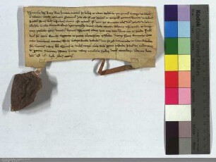 Die Brüder Heinrich und Marquard Grafen von Solms überlassen dem deutschen Hause zu Marburg die Güter zu Winemannisdorf, welche ritter Emercho Sch...
