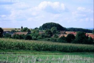Blick über Felder zum Ort
