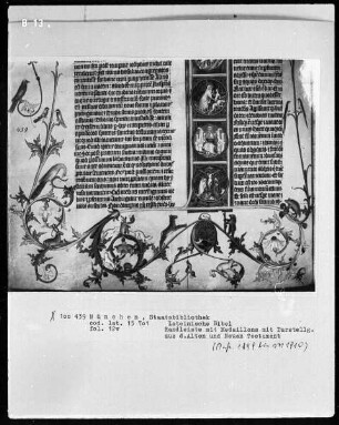 Lateinische Bibel — Initiale I (n principio creavit Deus) mit dem Schöpfungswerk, Folio 12verso