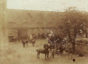 Meusegast (heute: Dohna-Meusegast). Rittergut. "Pferdemusterung" im Hof