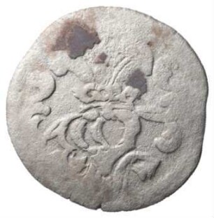 Fundmünze, Dreier (NZ), 1556