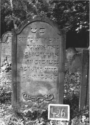 Grabstein 426 (Index: 99895185) Material: Sandstein Zustand: gut Maße HxBxT: 125x63x10 cm Beschreibung: Stele mit eingezogenem Rundbogenabschluss Symbolik: Volutenornament: Grabstein 426