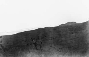 Vulkanlandschaft : Blick über Felder auf Vulkane.